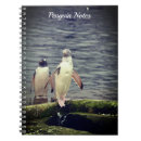 Recherche de gentoo Oiseau