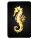 Recherche de hippocampe magnets Mer