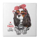 Recherche de cavalier carreaux Chiot