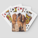 Recherche de islandais jeux de cartes Equus caballus