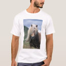 Recherche de poney shetland tshirts Nature