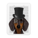 Recherche de hound magnets Animaux de compagnie mignons