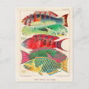 Recherche de la grande barrière de corail cartes postales Coloré