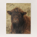 Recherche de bétail puzzles Vache brune