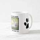 Recherche de spitz tasses Amoureux des chiens