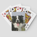 Recherche de culottes jeux de cartes Chien