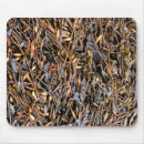 Recherche de algues tapis souris Plage