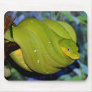 Recherche de serpents tapis souris Balance