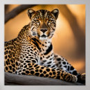 Recherche de taches léopard posters Chat