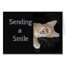Recherche de chat de sourire Animal