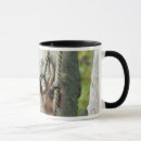 Recherche de orangs outans tasses Orang outan