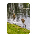 Recherche de grue magnets Vert