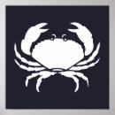 Recherche de crabes posters Côtier