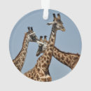 Recherche de le kenya ornements Girafe