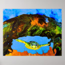 Recherche de scaphandre posters Tortue