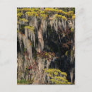 Recherche de inondation cartes postales Paysage