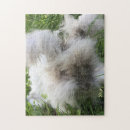 Recherche de lapin angora Mignon