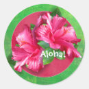 Recherche de ketmie autocollants Luau