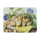 Recherche de prune magnets Fruit