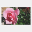Recherche de rosebud autocollants Nature