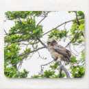 Recherche de hibou sur une branche tapis souris Toute personne