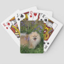 Recherche de culottes jeux de cartes Debout