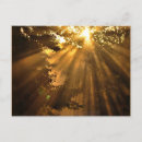 Recherche de superbe cartes postales Toute personne
