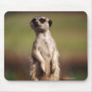 Recherche de coupé la queue tapis souris Animal