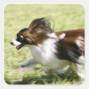 Recherche de motion autocollants Speed