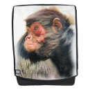 Recherche de monkey sacs Primate
