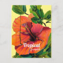 Recherche de hibiscus cartes postales Été