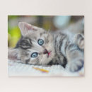 Recherche de animal bébé puzzles Animaux domestiques