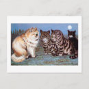 Recherche de clair de lune cartes postales Chat