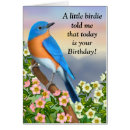 Recherche de happiness cartes postales Bluebird