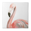 Recherche de oiseaux tropicaux carreaux Flamant rose