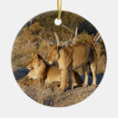 Recherche de lion africain ornements Lions