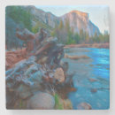 Recherche de racines dessous de verres Paysage