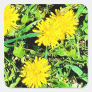 Recherche de ottawa autocollants Nature