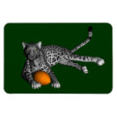 Recherche de panthère magnets Jaguar