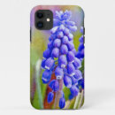 Recherche de jacinthes électronique Muscari