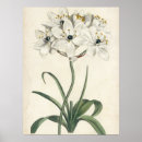 Recherche de études posters Botanique