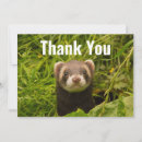 Recherche de furet vœux cartes Drôle