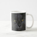 Recherche de bleu russe tasses Minou