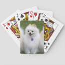 Recherche de spitz jeux de cartes Sitting