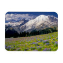Recherche de rain magnets Paysage