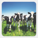 Recherche de le hokkaido autocollants Animal