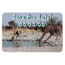 Recherche de taches de girafe invitations Afrique