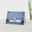 Recherche de cygne muet vœux cartes Animal