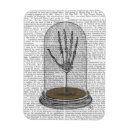 Recherche de squelette magnets Animaux