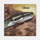 Recherche de animaux sauvages magnets Exotique